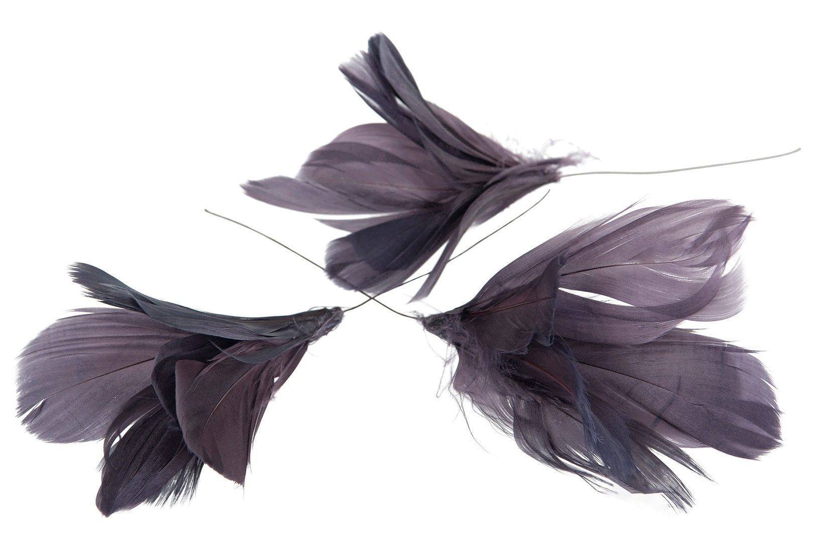 Höyhenkukka, violetti 12kpl/pkt